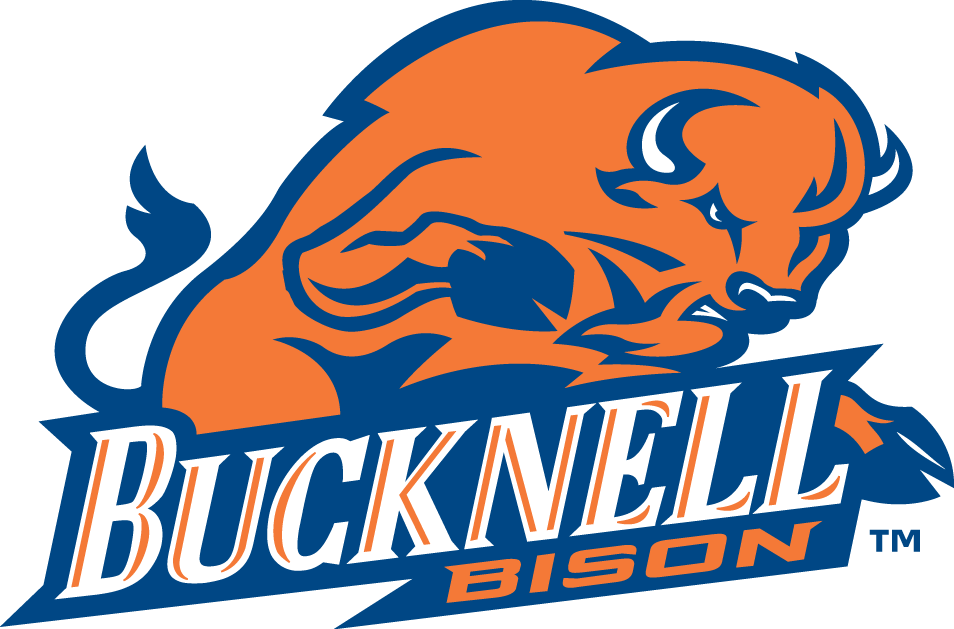 Bucknell Bison 2002-Pres Primary Logo iron on transfers for fabric